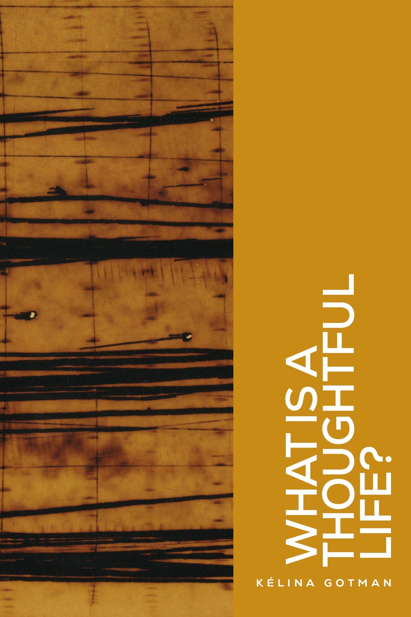 Cover image for What is a thoughtful life? ISBN 9781526187567